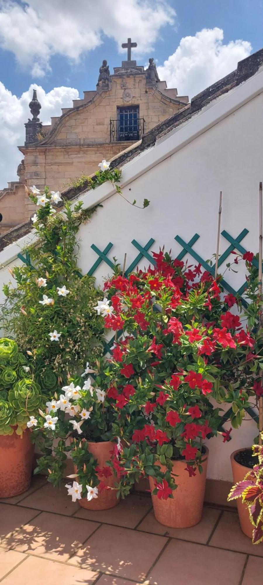 Apartamentos Los Descalzos Angel With Private Terrace Free Parking Ronda Bagian luar foto