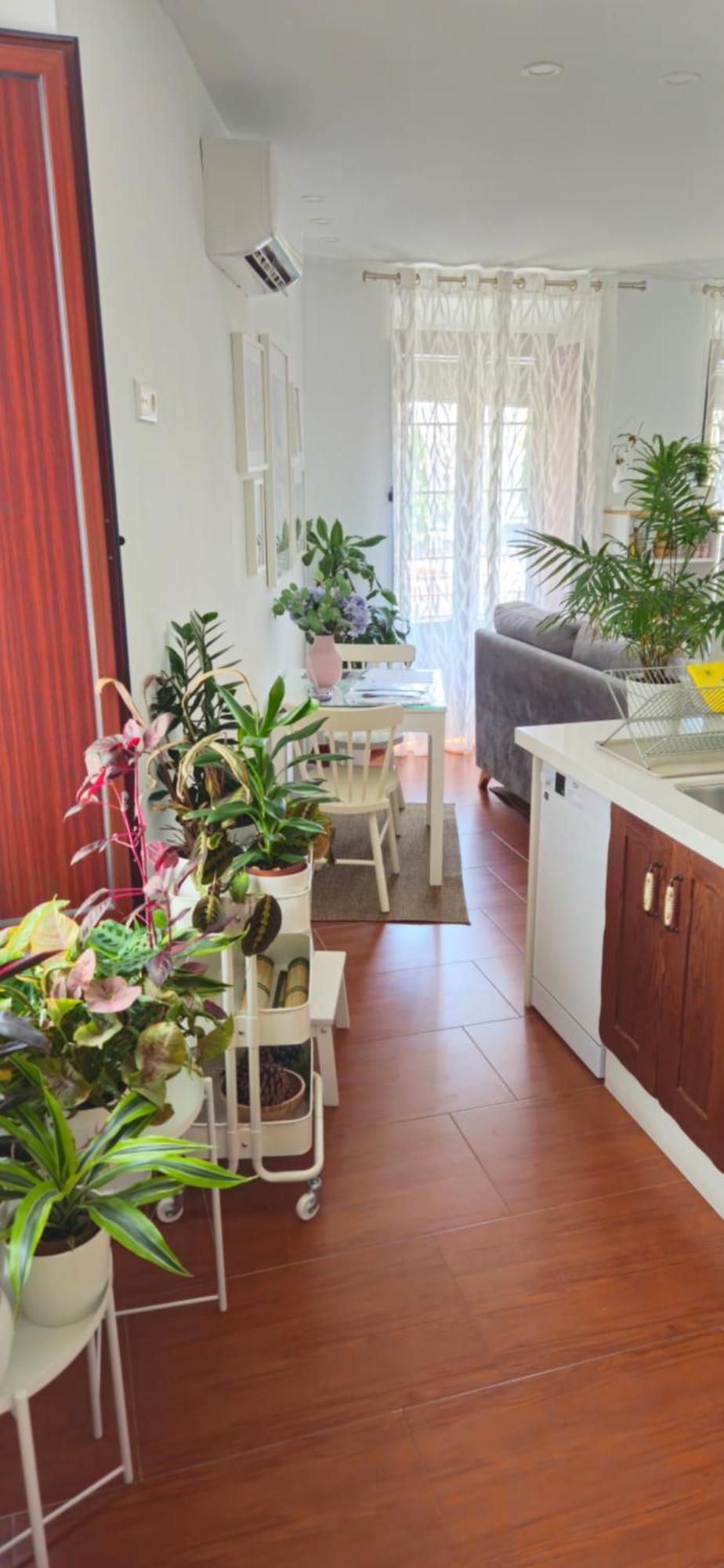 Apartamentos Los Descalzos Angel With Private Terrace Free Parking Ronda Bagian luar foto