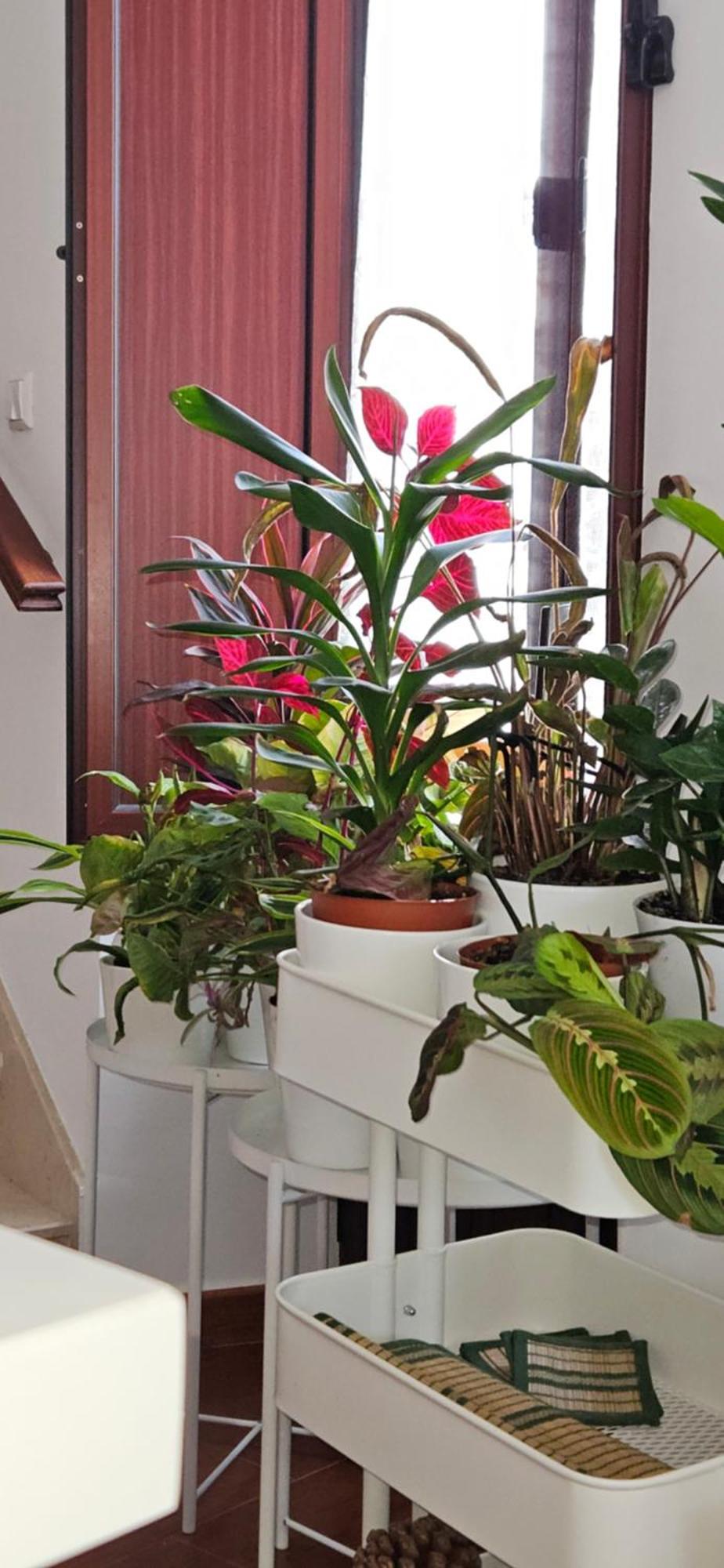 Apartamentos Los Descalzos Angel With Private Terrace Free Parking Ronda Bagian luar foto