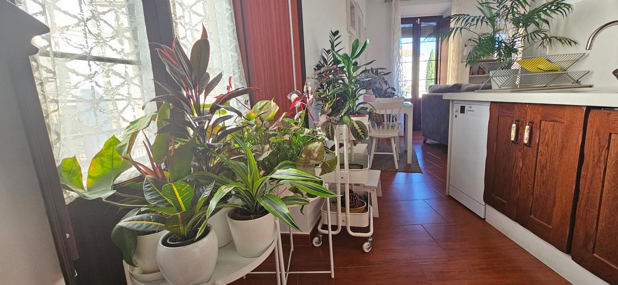 Apartamentos Los Descalzos Angel With Private Terrace Free Parking Ronda Bagian luar foto