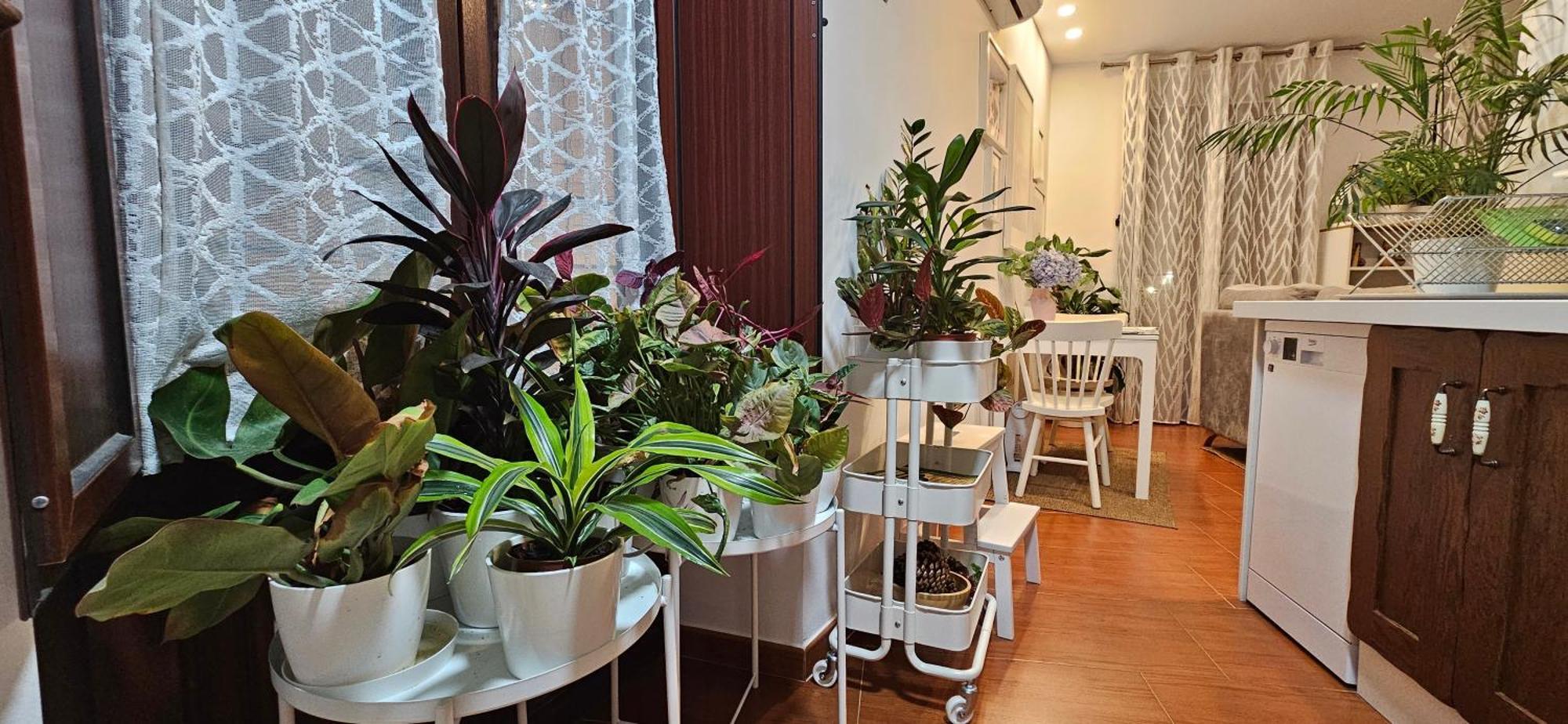 Apartamentos Los Descalzos Angel With Private Terrace Free Parking Ronda Bagian luar foto