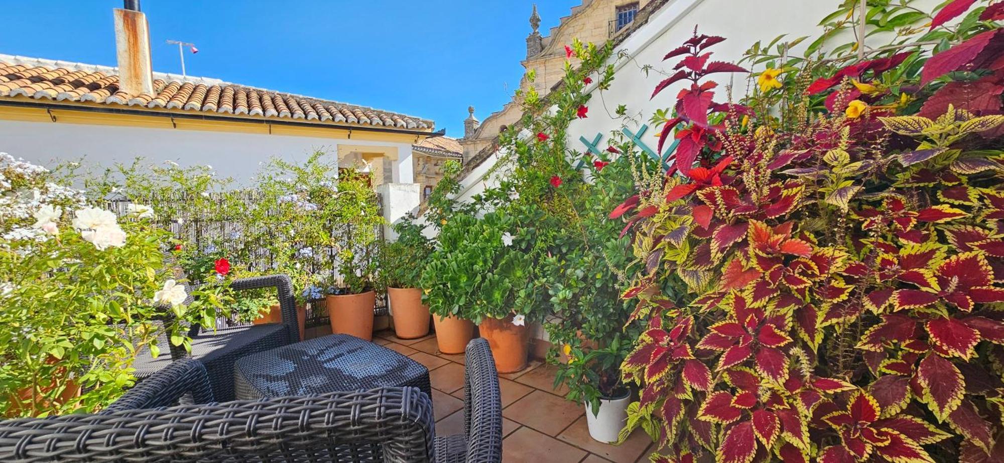 Apartamentos Los Descalzos Angel With Private Terrace Free Parking Ronda Bagian luar foto